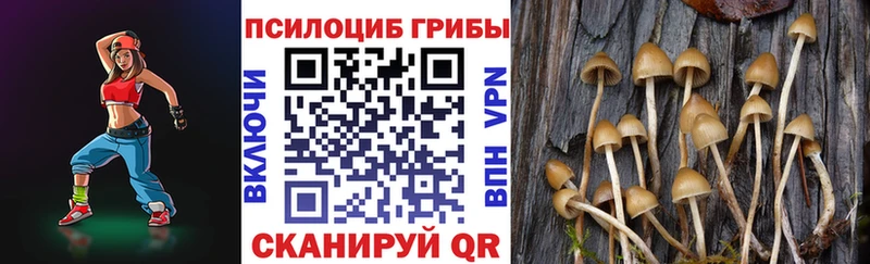 Купить закладки  Правдинск  Псилоцибиновые грибы Magic Shrooms 